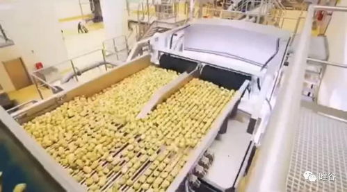 佳盛企智深加工共享工廠 創新農產品生產模式，助力蔬菜產業升級